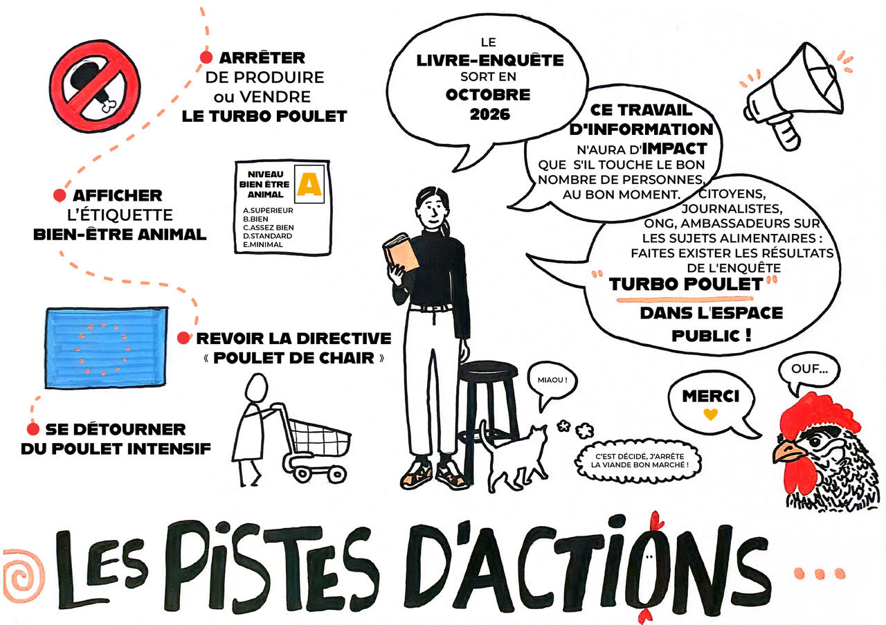 Les pistes d'actions